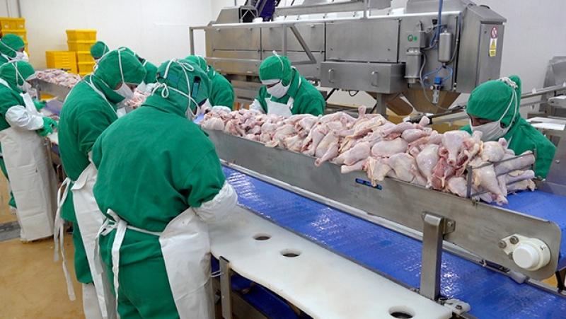 Perú espera abrir mercados de Bolivia, Colombia, Cuba y Panamá para la exportación de carne de ave este año