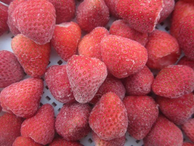 Perú exportó 13.900 toneladas de fresas congeladas por US$ 25.6 millones en la campaña 2019/20020
