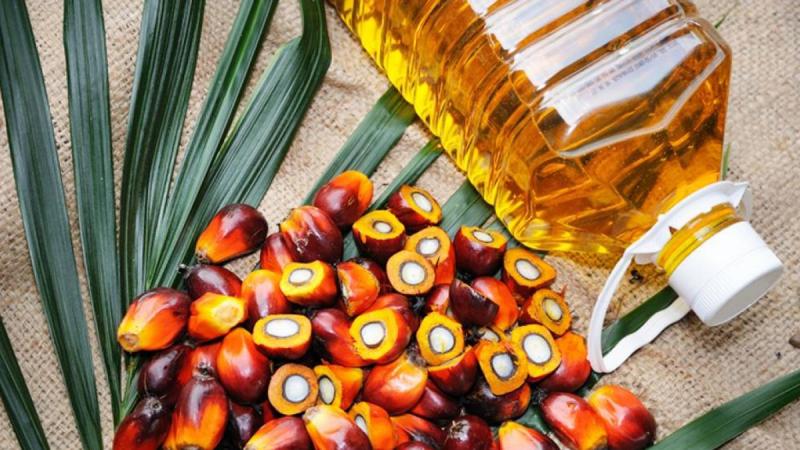 Perú exportó aceite de palma por US$ 35 millones entre enero y septiembre