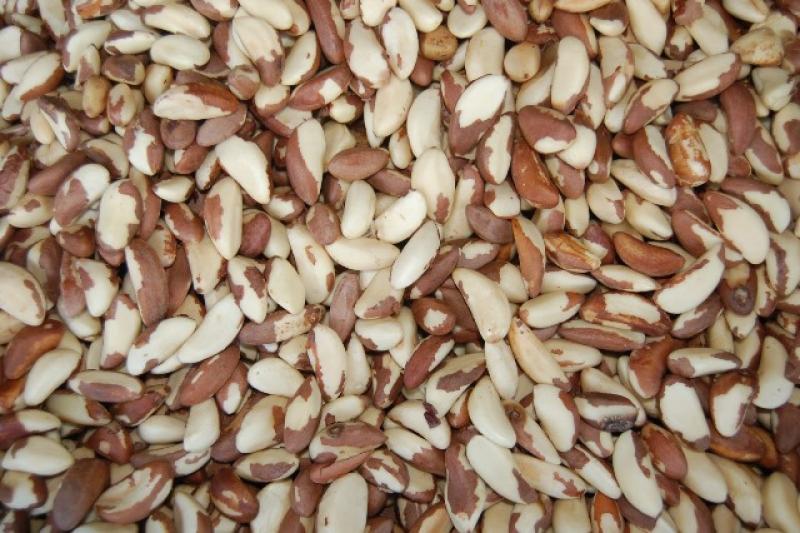 PERÚ EXPORTÓ NUECES DE BRASIL SIN CÁSCARA POR US$ 27.8 MILLONES