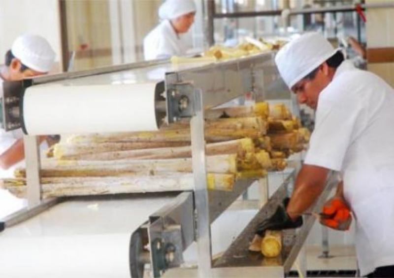 PERÚ EXPORTÓ PALMITOS PREPARADOS POR US$ 4.0 MILLONES