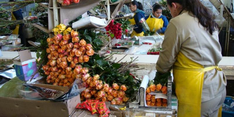 Perú Flora busca fomentar la formalización del sector floricultor