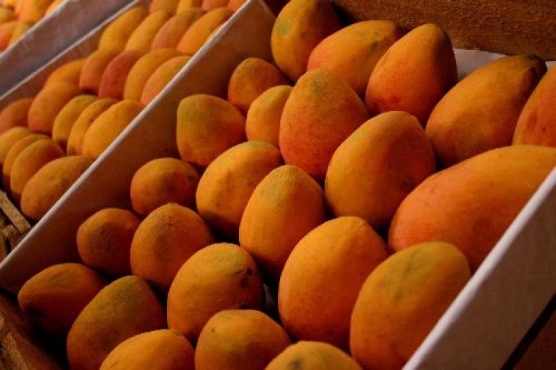 Perú fue el principal proveedor de mangos para el Reino Unido en el 2016