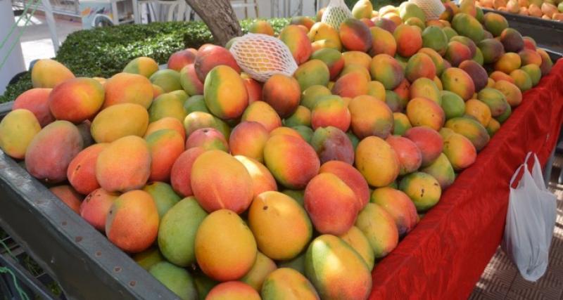 Perú fue el segundo proveedor de mangos frescos de Reino Unido en el 2016