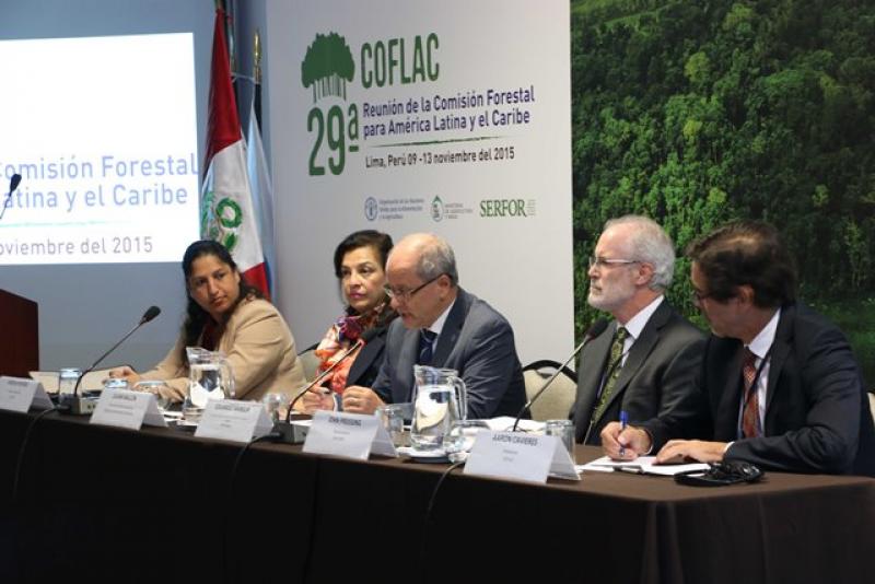 PERÚ FUE ELEGIDO PAÍS PRESIDENTE DE LA COFLAC