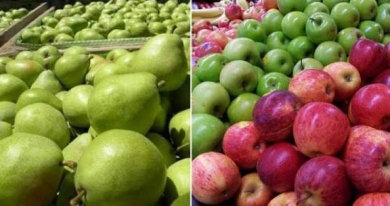 Perú: Importación de frutas crece en valor 40.3%,en la primera mitad de 2026