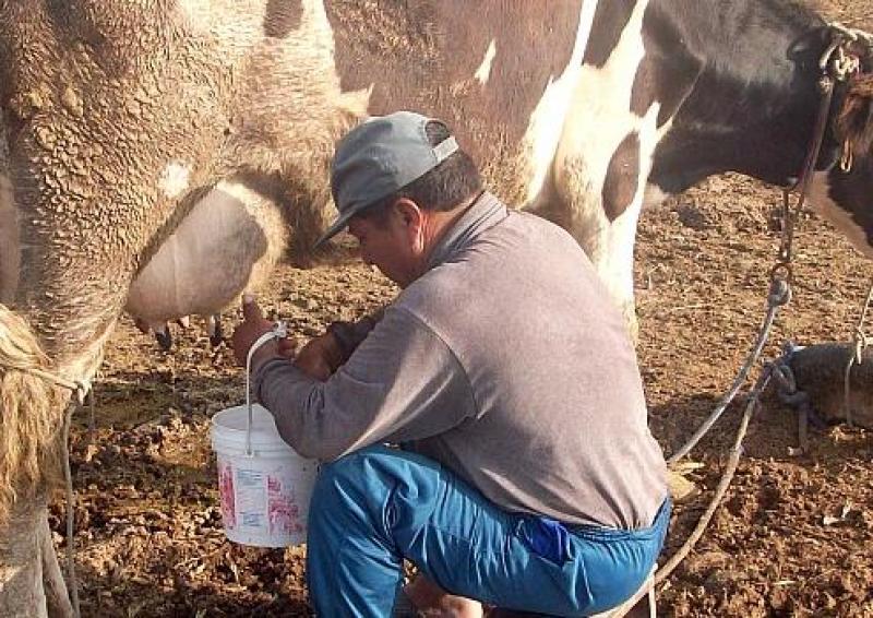 PERÚ IMPORTÓ MÁS DE 35 MIL TM DE LECHE EN POLVO EN 2013