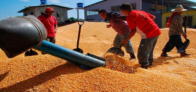 Perú Importó Productos Agropecuarios Por Más De Us 2400 Millones En