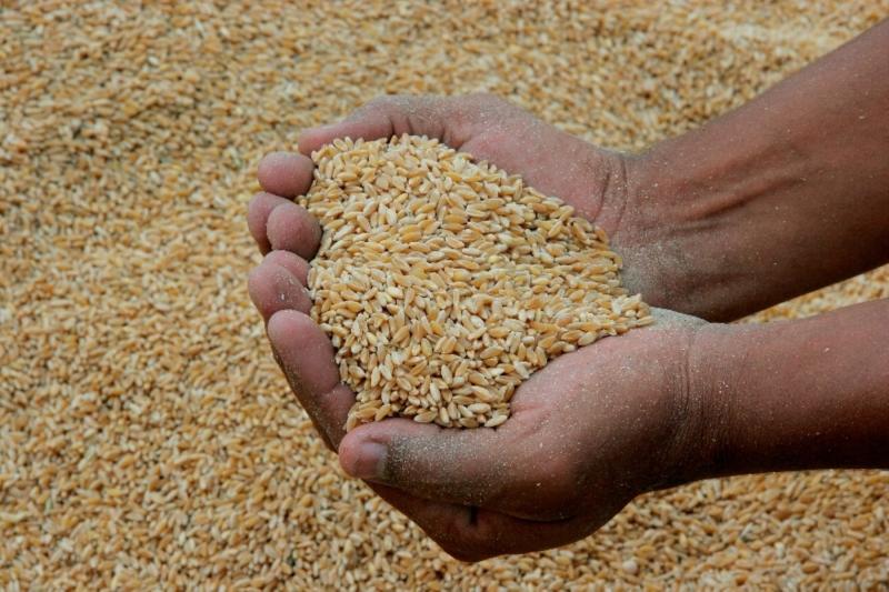 Perú importó trigo por US$ 235 millones entre enero y abril de 2023
