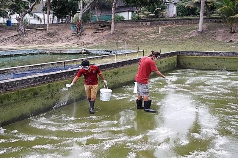 Perú impulsa acuicultura para que sea motor de desarrollo de la economía