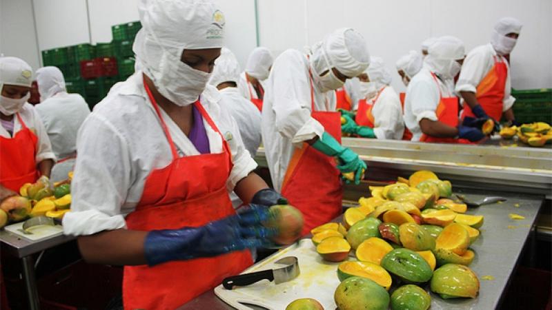 Perú logra el mayor crecimiento en productividad laboral entre las economías de América Latina