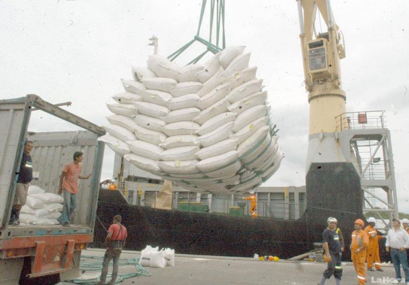 PERÚ NO EXPORTARÍA ARROZ ESTE  AÑO