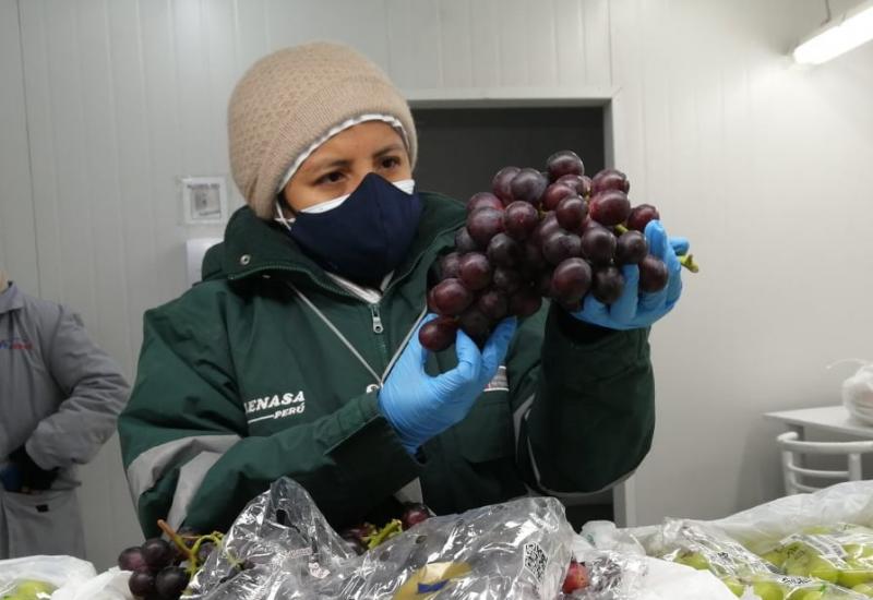 Perú podrá exportar uva de mesa y cítricos a la Argentina