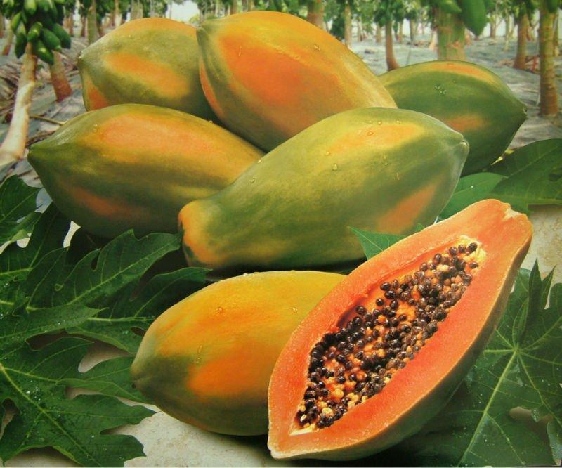 Perú produjo más de 186 mil toneladas de papaya en 2020  