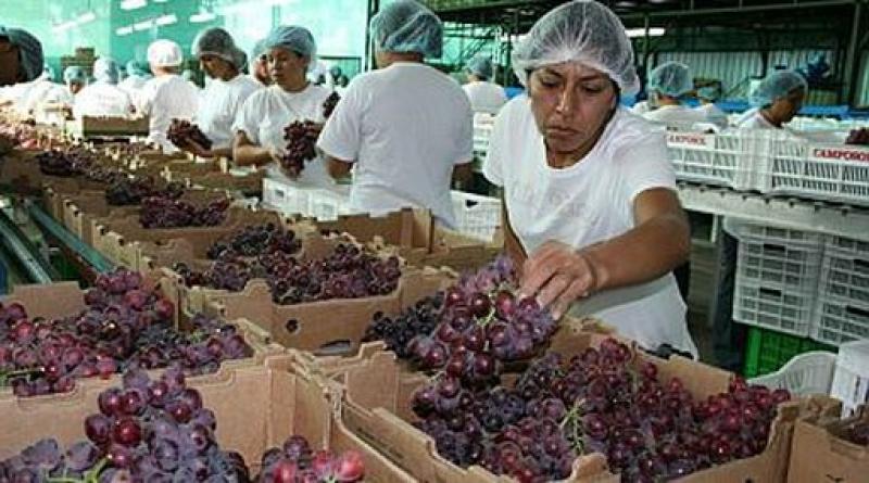 Perú promociona su uva en Corea del Sur