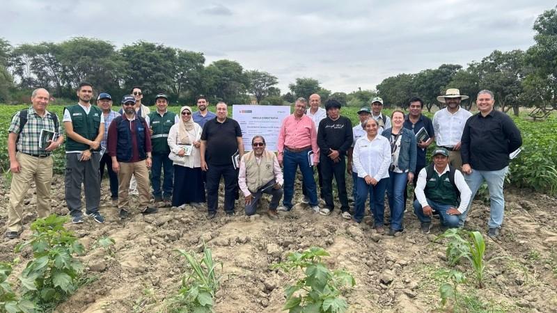 Perú recibe a delegación de Egipto para compartir experiencia sobre producción de algodón