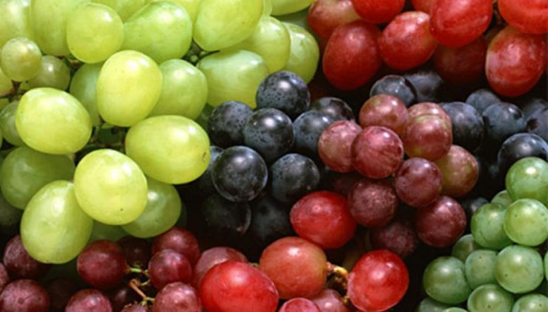 Perú se consolida como quinto exportador mundial de uvas