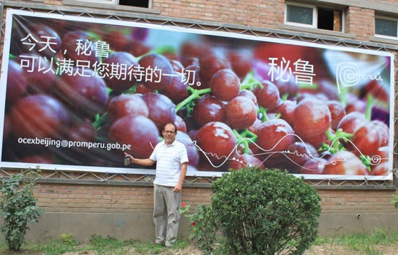 PERÚ SE CONVERTIRÍA EN EL SEGUNDO PROVEEDOR DE UVA DE MESA A CHINA