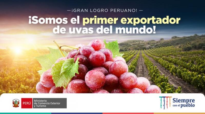 Perú se convierte en primer exportador mundial de uvas