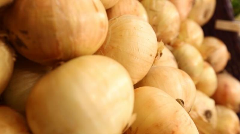 Perú se ha convertido en el segundo proveedor de cebollas de Estados Unidos