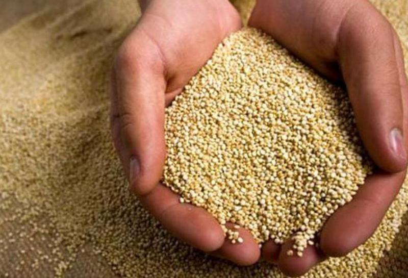 Perú se mantuvo como primer productor y exportador mundial de quinua el 2016