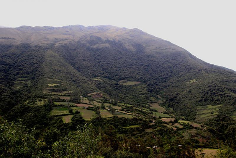 Perú será sede de congreso internacional de restauración ecológica de tierras degradadas