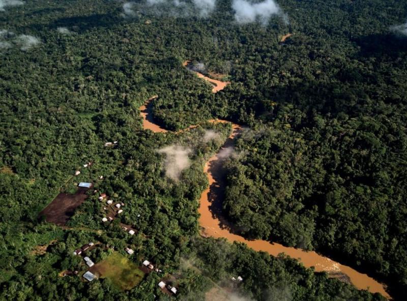 Perú solicita mitigar efectos de reglamento de la Unión Europea sobre comercio libre de deforestación