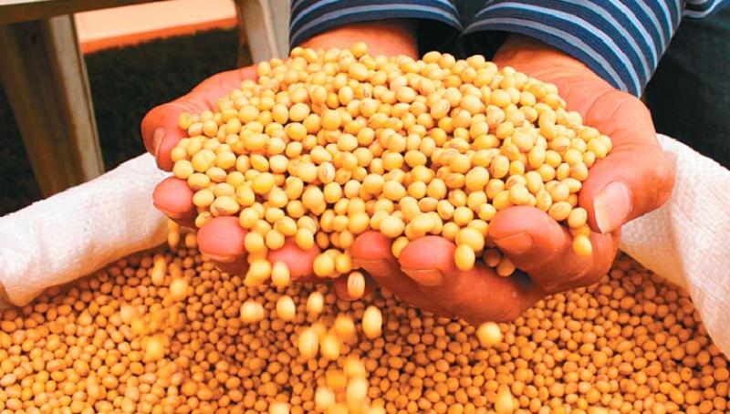 Perú suspende importación de productos agropecuarios procedentes de Bolivia