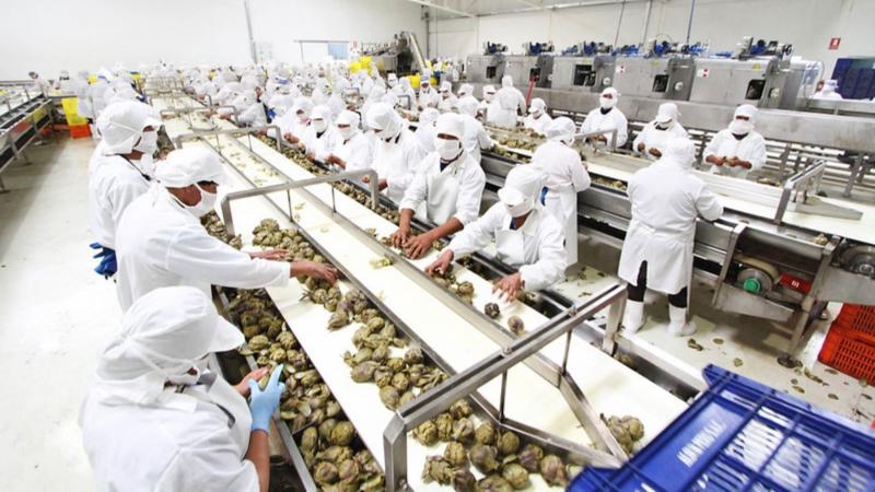 Perú sustentó ante Estados Unidos que arancel del TLC de 2009 es beneficioso para ambos