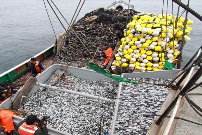 Pesca de anchoveta creció 139 % en los dos primeros meses de 2022