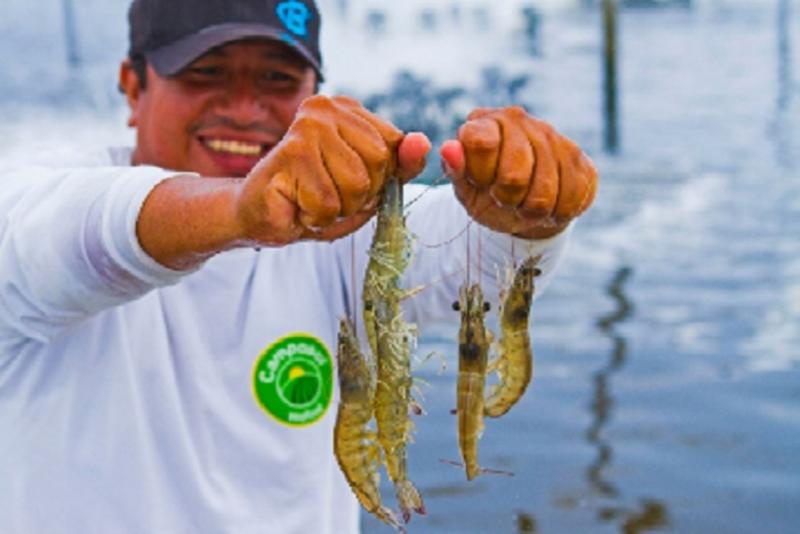 Pesca y acuicultura tendrán subvenciones por más de S/ 4 millones para proyectos