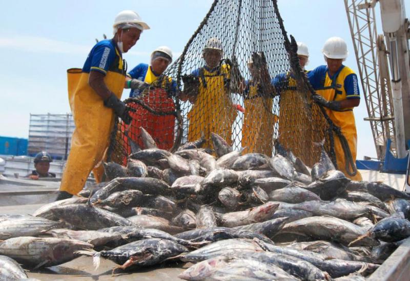 Pesqueras peruanas retoman envíos a China