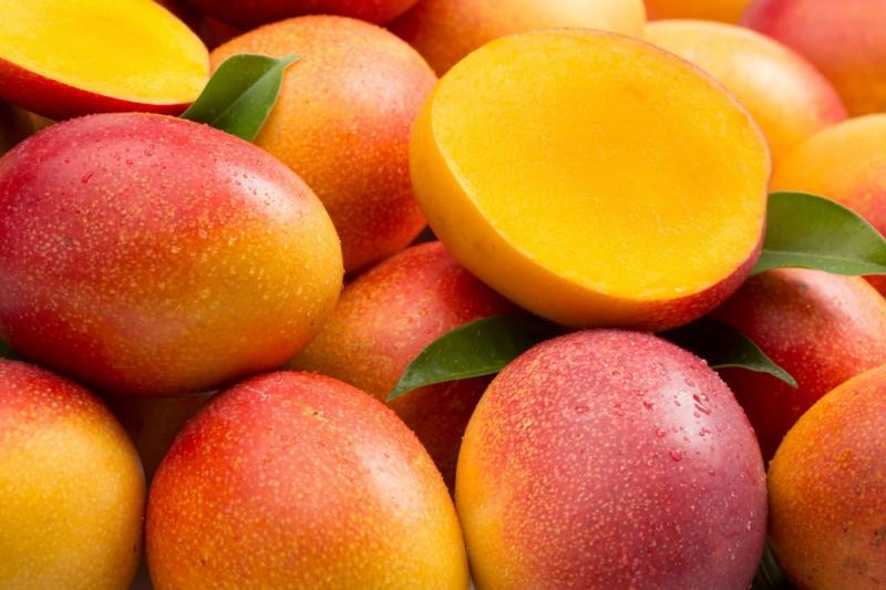 Piura produce cerca del 80% de la producción nacional de mango