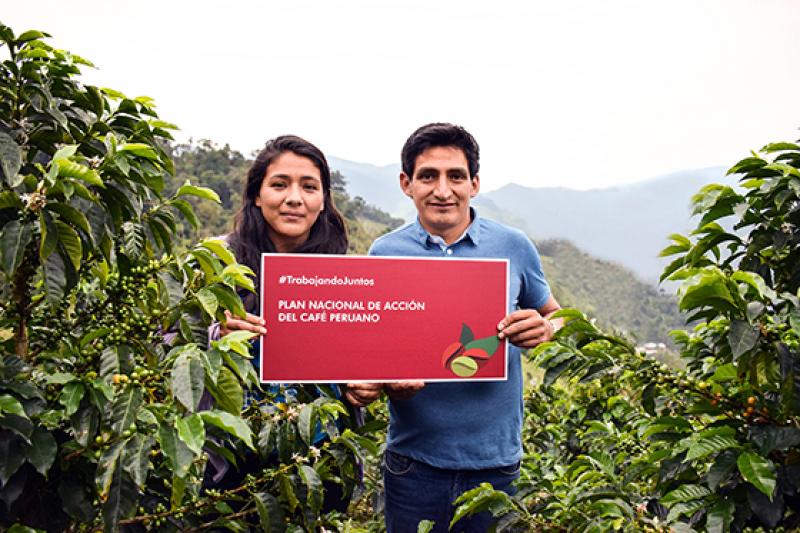 Plan Nacional de Acción del Café Peruano se presentaría en abril de 2018