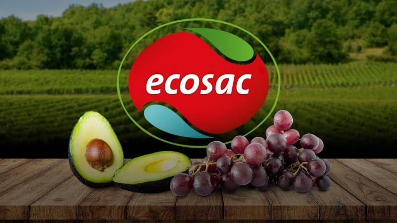 Planta de packing de palta y uva de Ecosac cuenta con capacidad de procesar 480 toneladas de productos al día