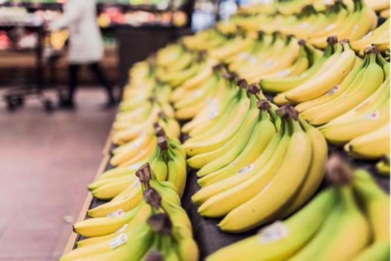 Plátano Cavendish está en peligro de extinción