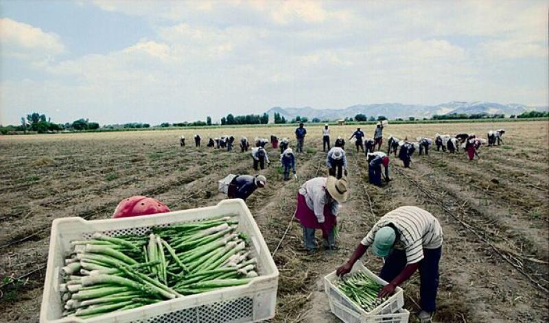 Pleno del Congreso aprobó nueva ley agraria que establece una bonificación especial de S/ 279 al mes