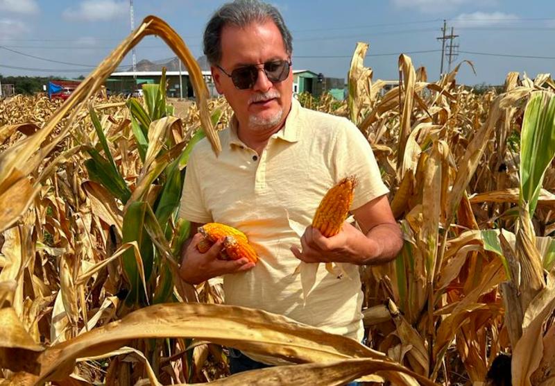 Podemos generar una revolución productiva en el campo si desarrollamos la cadena del maíz amarillo duro