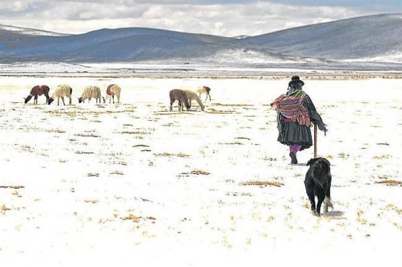 Por bajas temperaturas declaran estado de emergencia en Ayacucho