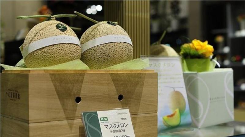 ¿Por qué en Japón se puede pagar hasta US$ 27 mil por un par de melones?
