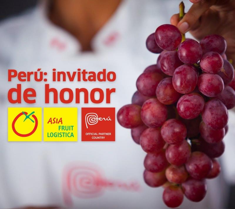 Por segunda vez consecutiva Perú será País Invitado de Honor en Asia Fruit Logistica ON