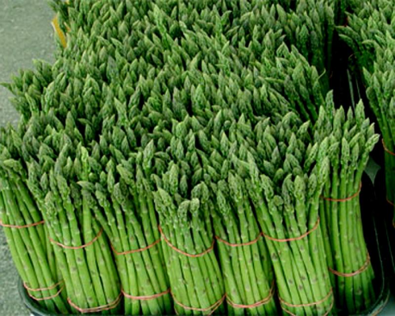 PRECIO DE EXPORTACIÓN DE ESPÁRRAGOS FRESCOS INCREMENTA EN 69% 