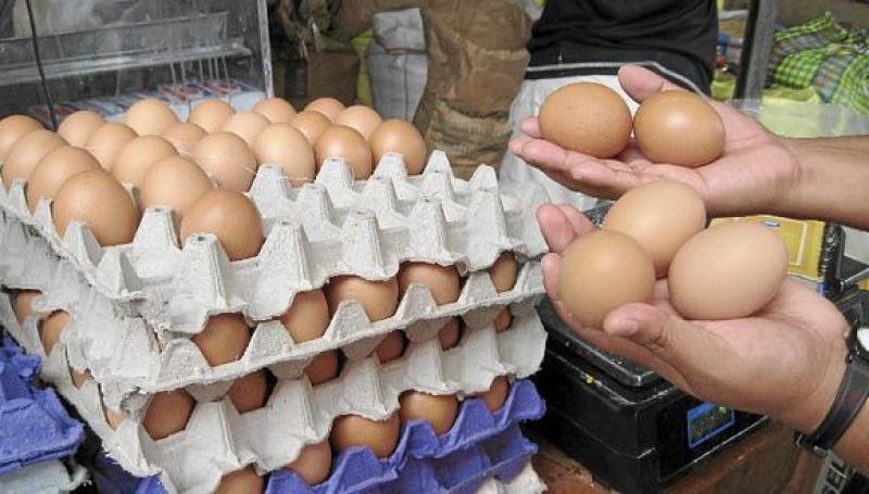 Precio del huevo subiría a más de S/ 9 el kilo
