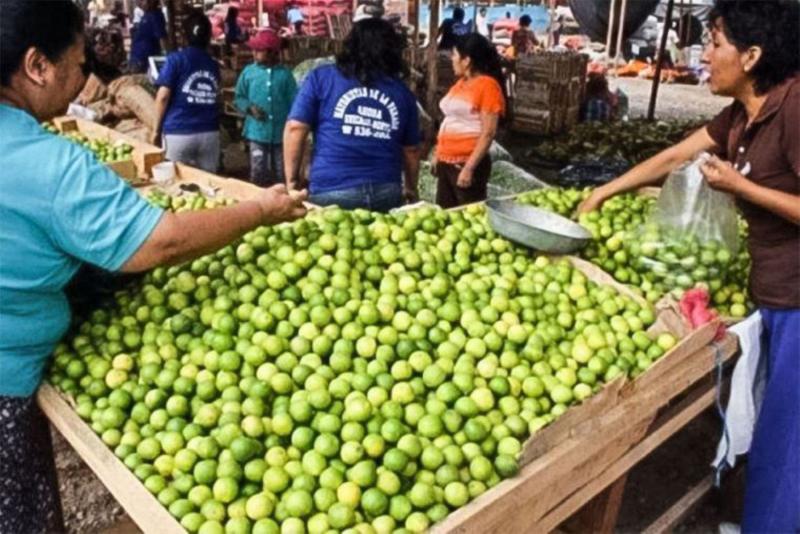 Precio del limón se sitúa por debajo de S/ 10 en mercado mayorista de Lima