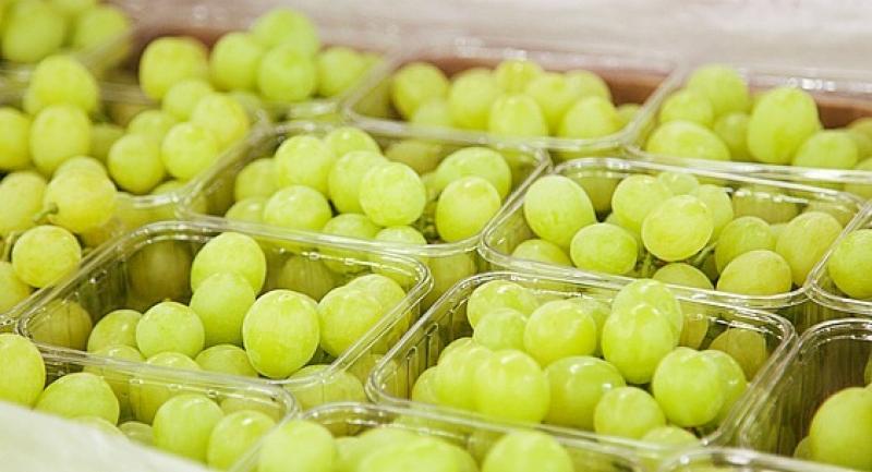 Preocupación por superposición de ofertas de uva peruana y chilena en los principales mercados