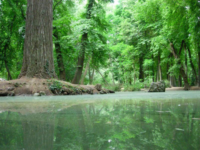 PRESENTAN DOCUMENTAL SOBRE ESTRATEGIAS DE CONSERVACIÓN DE BOSQUES AMAZÓNICOS