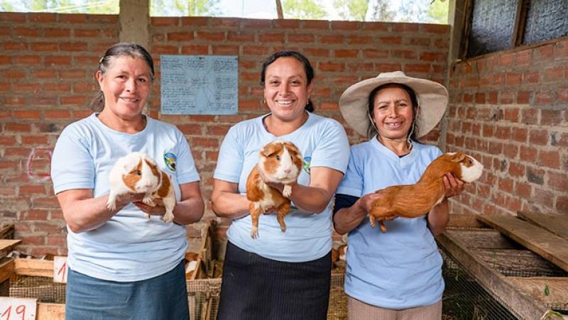 Presentan libro: “Lecciones de sostenibilidad comercial para la agricultura familiar en el Perú”