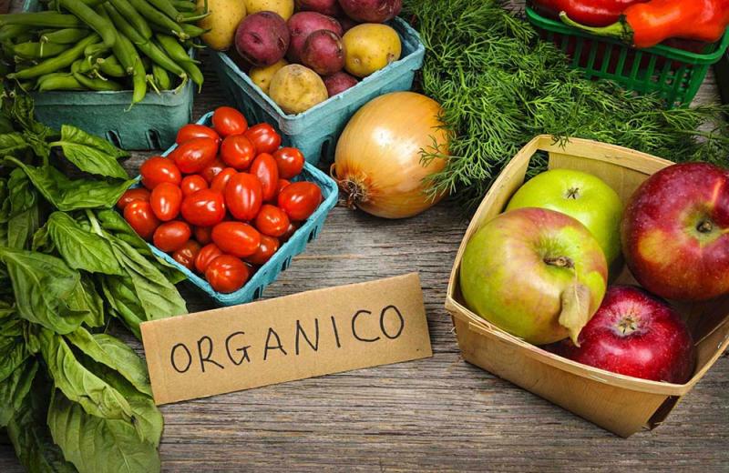 Presentan proyecto de ley para declarar Día Nacional del Consumo de Alimentos Orgánicos