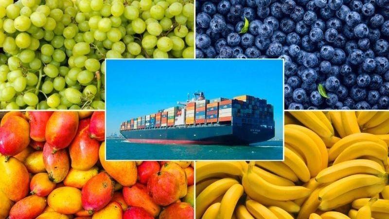 Primer trimestre: Frutas participaron con el 60.9% del valor de las agroexportaciones peruanas