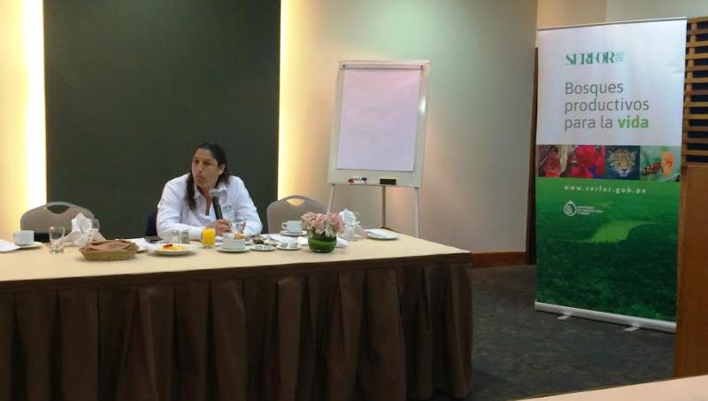 PRINCIPAL PROBLEMA EN SECTOR FORESTAL ES EL ACCESO AL FINANCIMIENTO